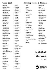 Word Bank & Phrases
